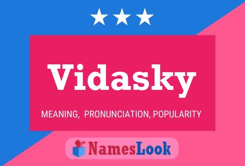 Vidasky 名字海报