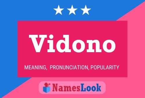 Vidono 名字海报