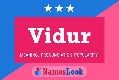 Vidur 名字海报