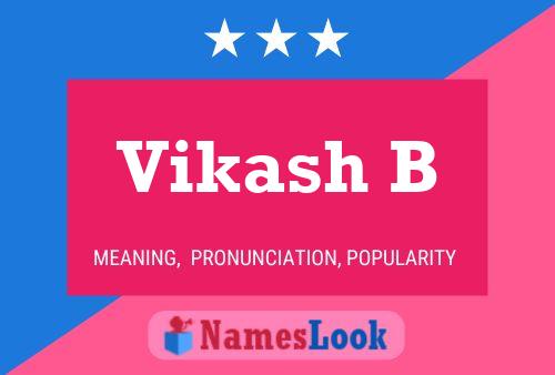 Vikash B 名字海报