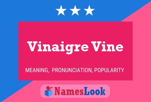 Vinaigre Vine 名字海报