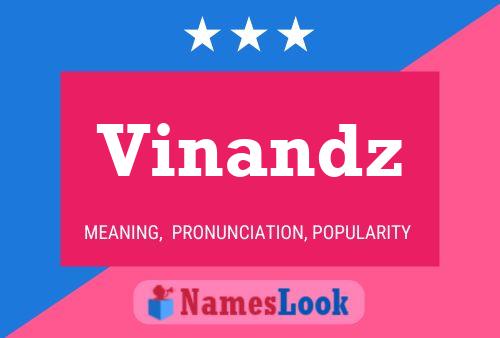 Vinandz 名字海报