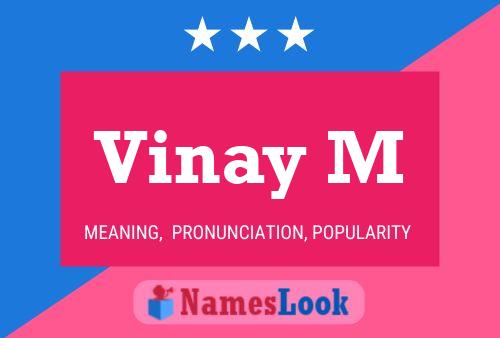 Vinay M 名字海报