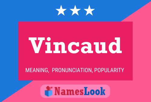 Vincaud 名字海报