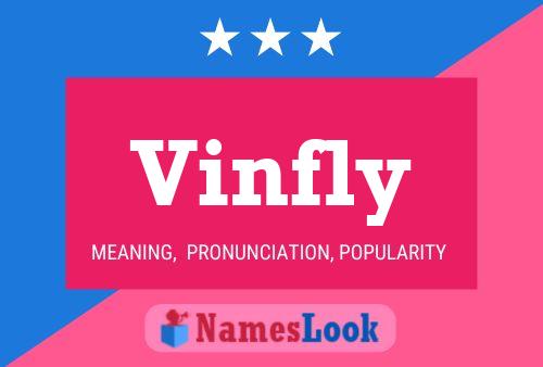 Vinfly 名字海报