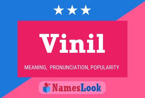 Vinil 名字海报