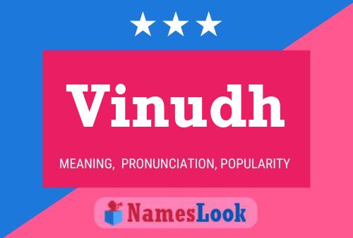 Vinudh 名字海报