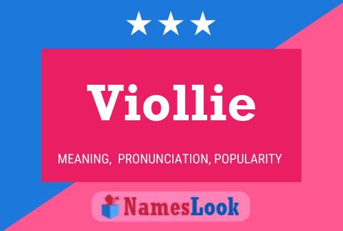 Viollie 名字海报