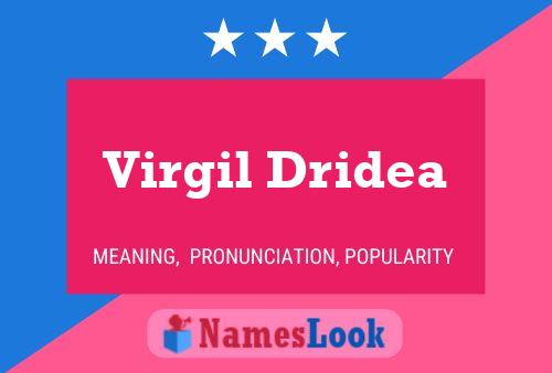 Virgil Dridea 名字海报