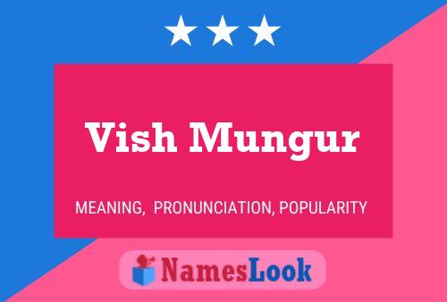 Vish Mungur 名字海报