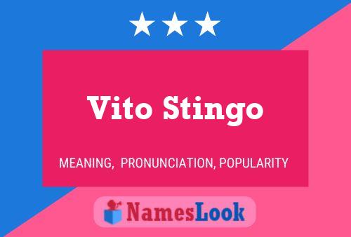 Vito Stingo 名字海报