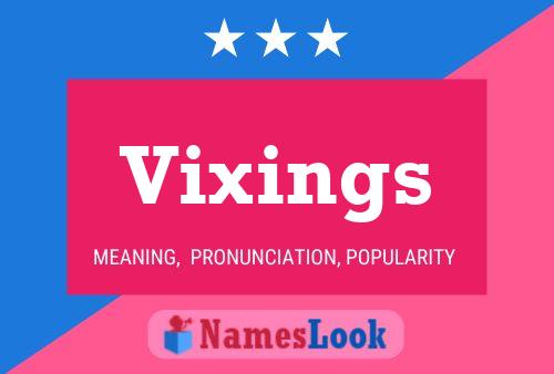 Vixings 名字海报