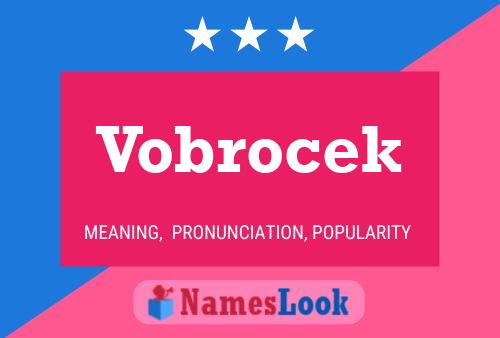 Vobrocek 名字海报