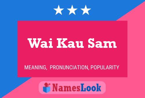 Wai Kau Sam 名字海报