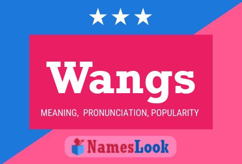 Wangs 名字海报