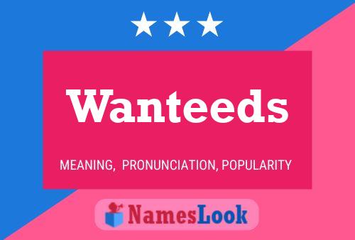 Wanteeds 名字海报