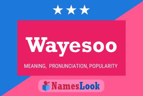 Wayesoo 名字海报