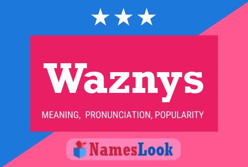 Waznys 名字海报