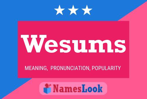 Wesums 名字海报