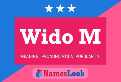 Wido M 名字海报