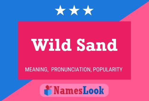 Wild Sand 名字海报