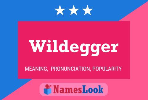 Wildegger 名字海报