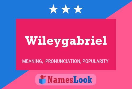 Wileygabriel 名字海报