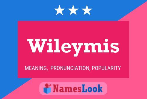 Wileymis 名字海报