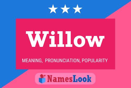 Willow 名字海报