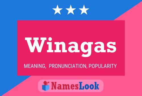 Winagas 名字海报