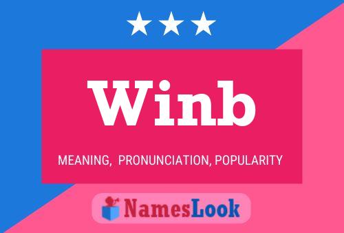 Winb 名字海报