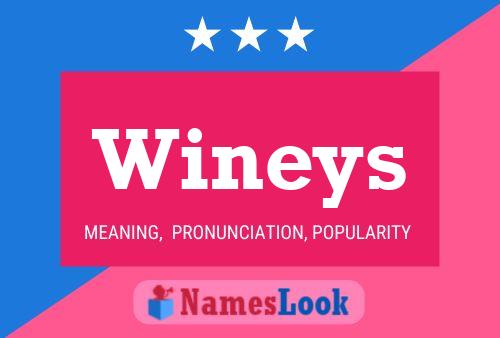 Wineys 名字海报