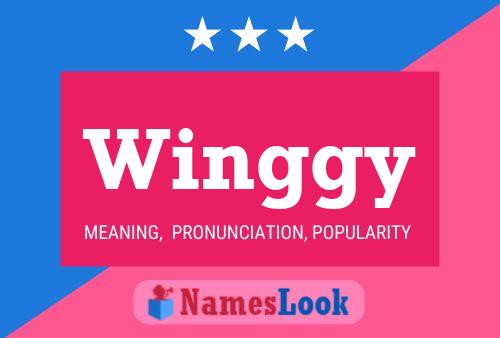 Winggy 名字海报