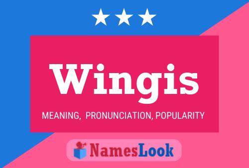 Wingis 名字海报