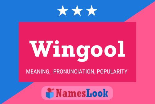 Wingool 名字海报