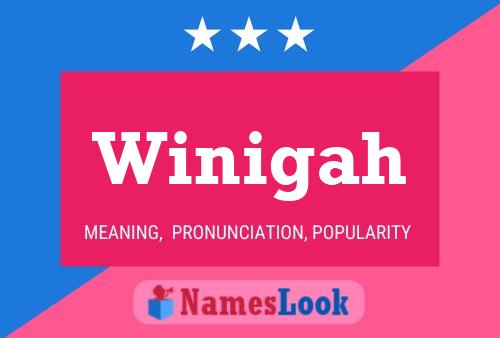 Winigah 名字海报