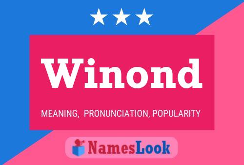 Winond 名字海报