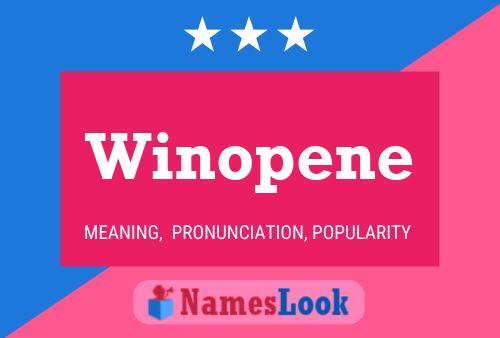 Winopene 名字海报