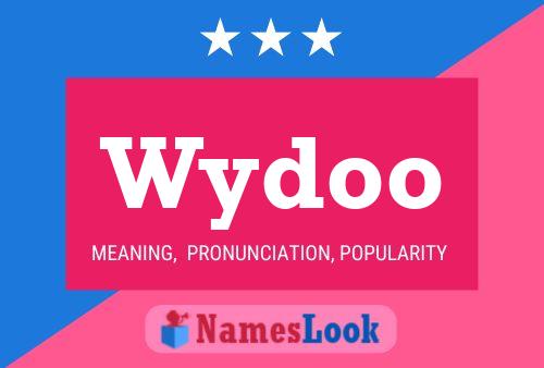 Wydoo 名字海报