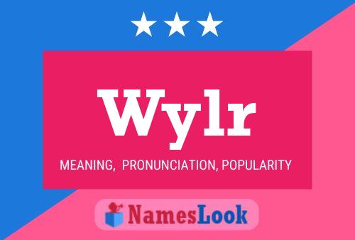 Wylr 名字海报