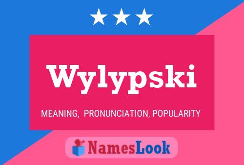 Wylypski 名字海报