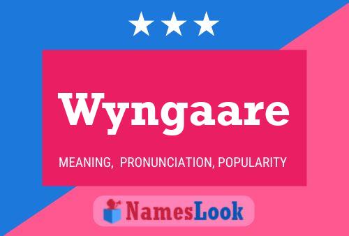 Wyngaare 名字海报