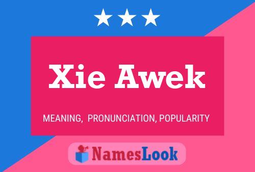 Xie Awek 名字海报