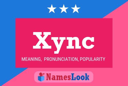 Xync 名字海报