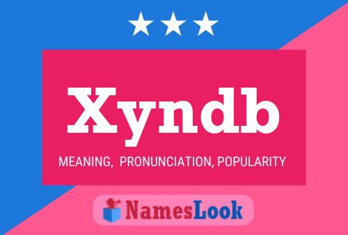 Xyndb 名字海报