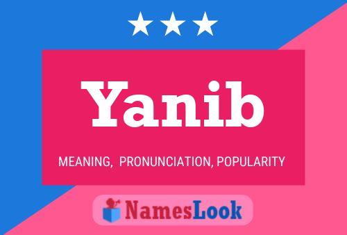 Yanib 名字海报