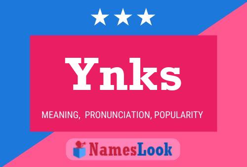 Ynks 名字海报