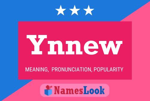 Ynnew 名字海报