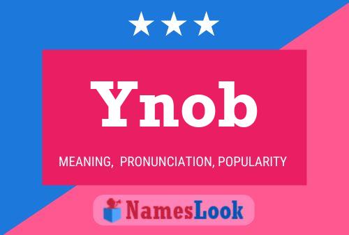 Ynob 名字海报