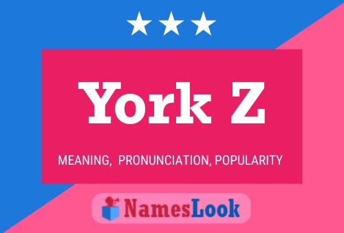 York Z 名字海报